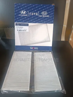 Kia Hyundai Dual Cabin Filter