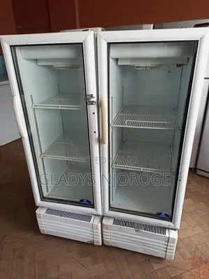 Min Sadden Intercool Display Fridge