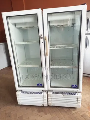 Min Sadden Intercool Display Fridge