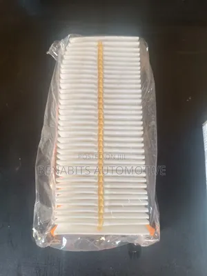 Renault Air Filter 16546767r