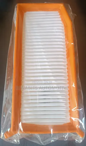 Renault Air Filter 16546767r