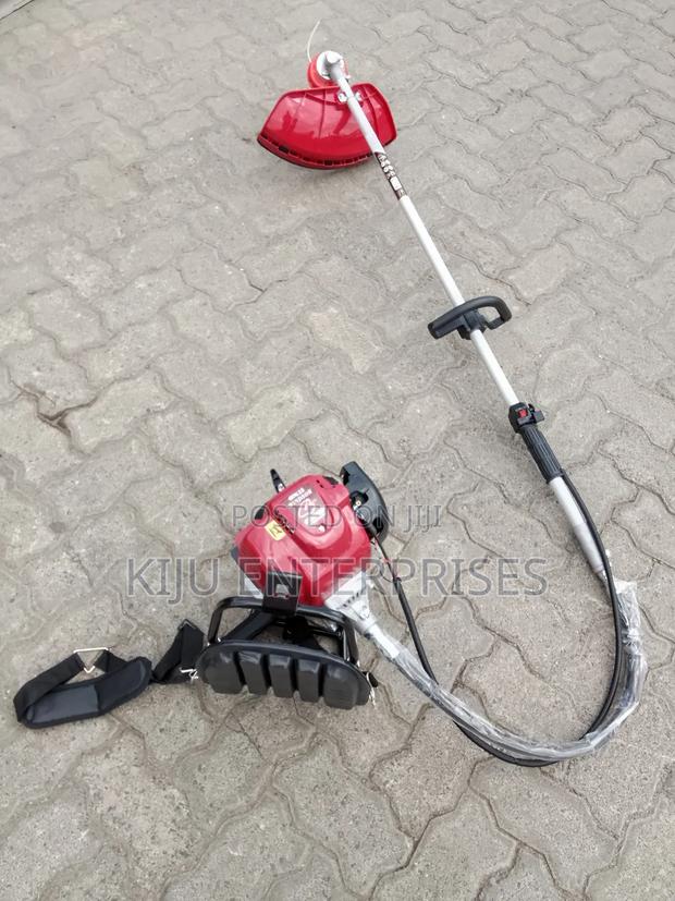 Backpack Windsor Brand Brushcutter and Tiller Weeder - main view