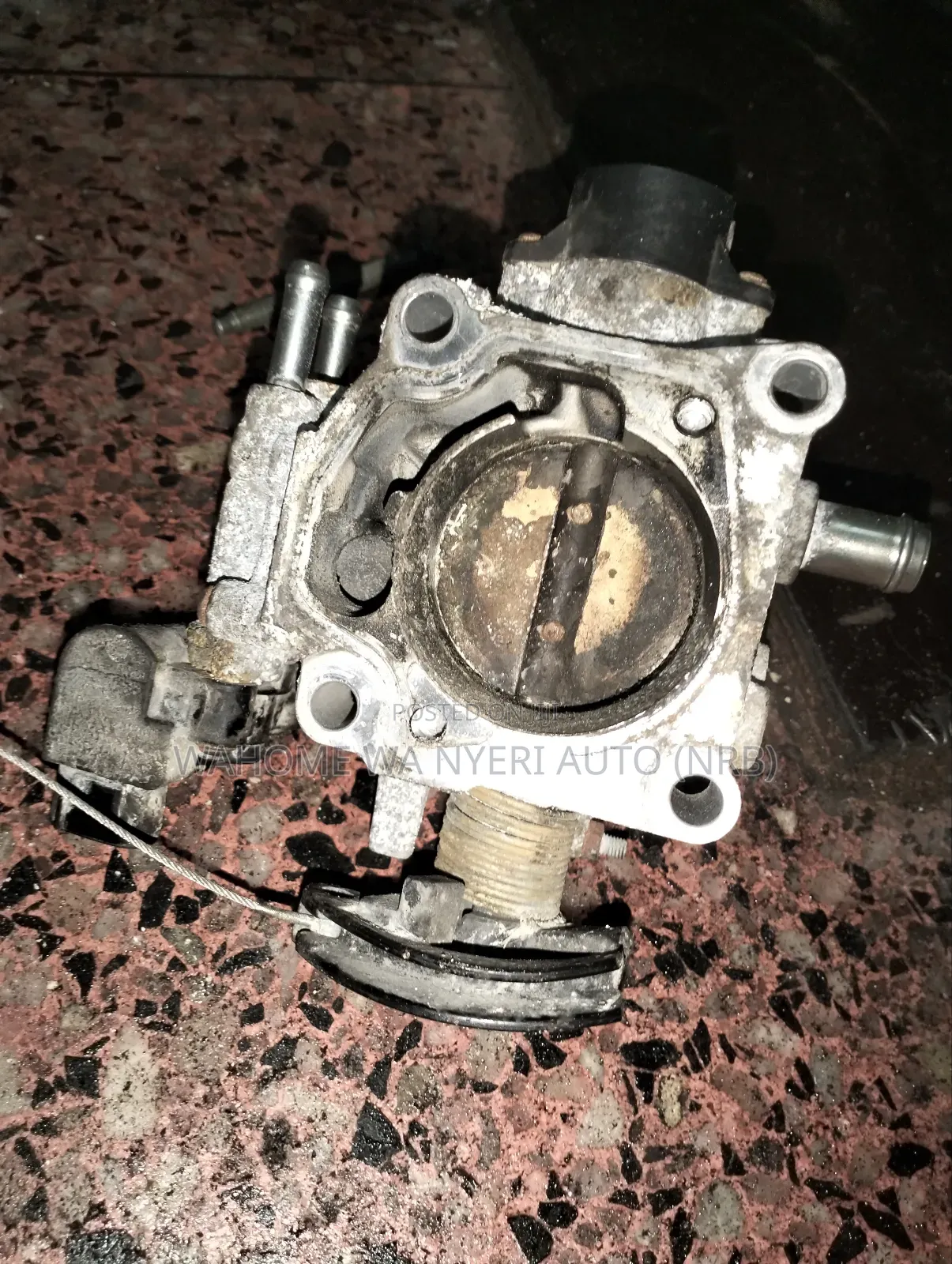 Throttle 1zz Wish,Premio