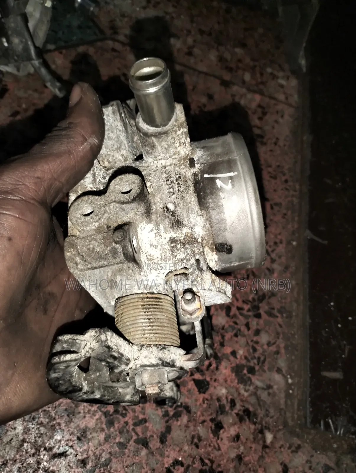 Throttle 1zz Wish,Premio