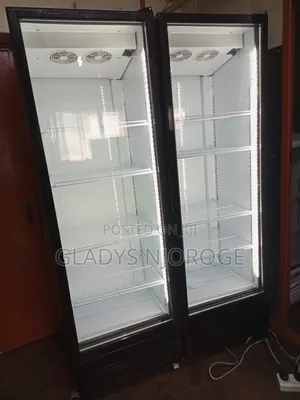 Twin Door Show Case Display Fridge
