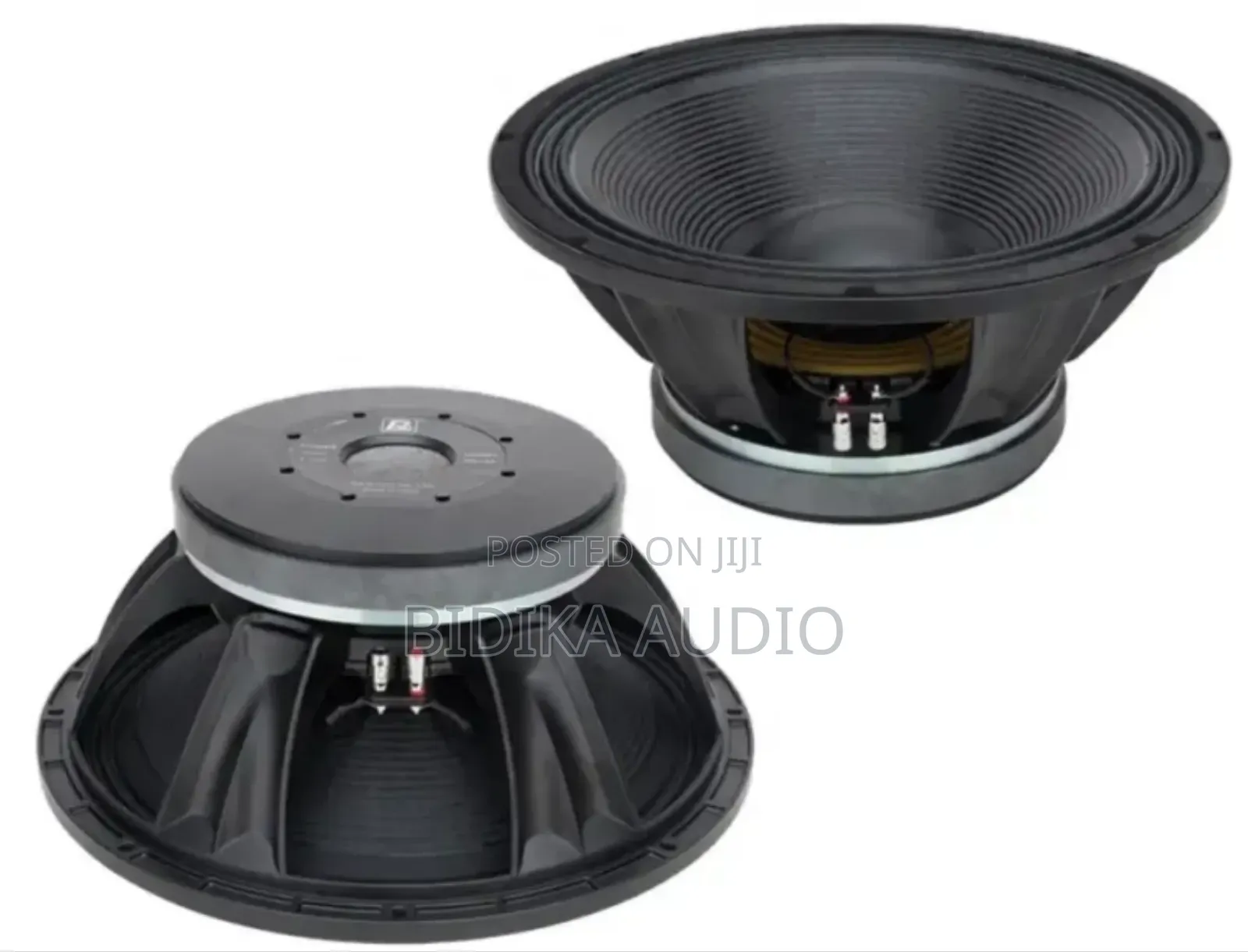 Bm Pd18a Bass Speaker