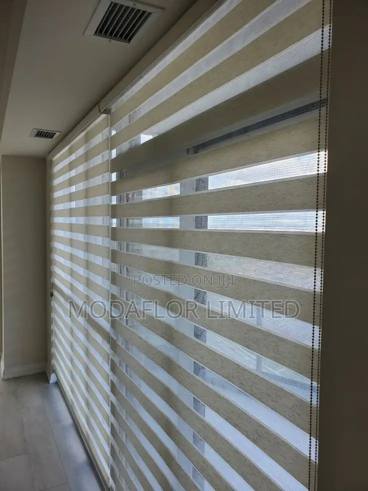 Zebra Roller Window Blinds