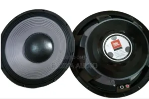 JBL 15 Inches Naked Speaker
