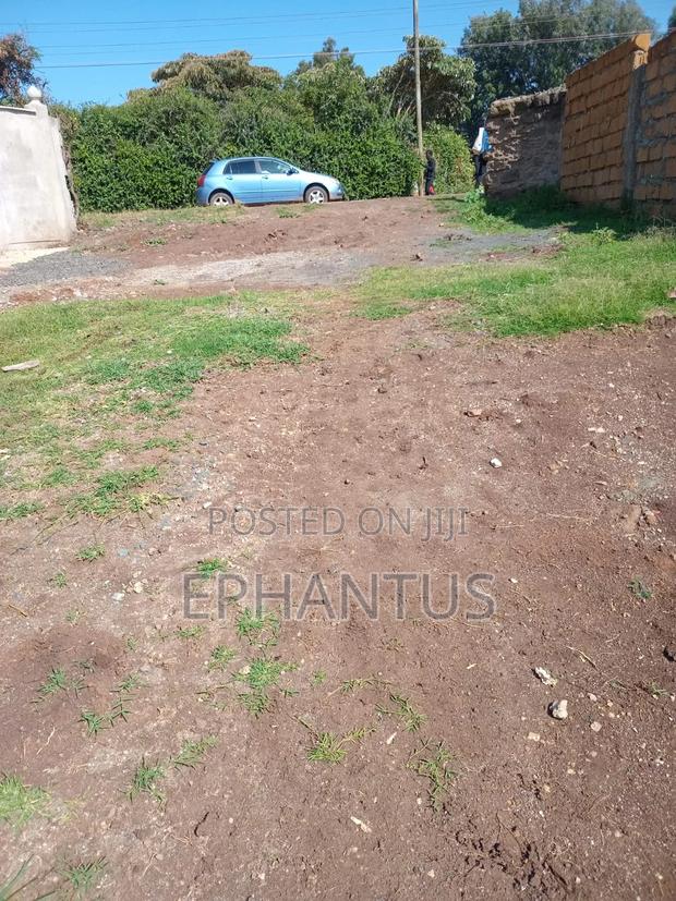 1/2 Acre Rongai at 14m