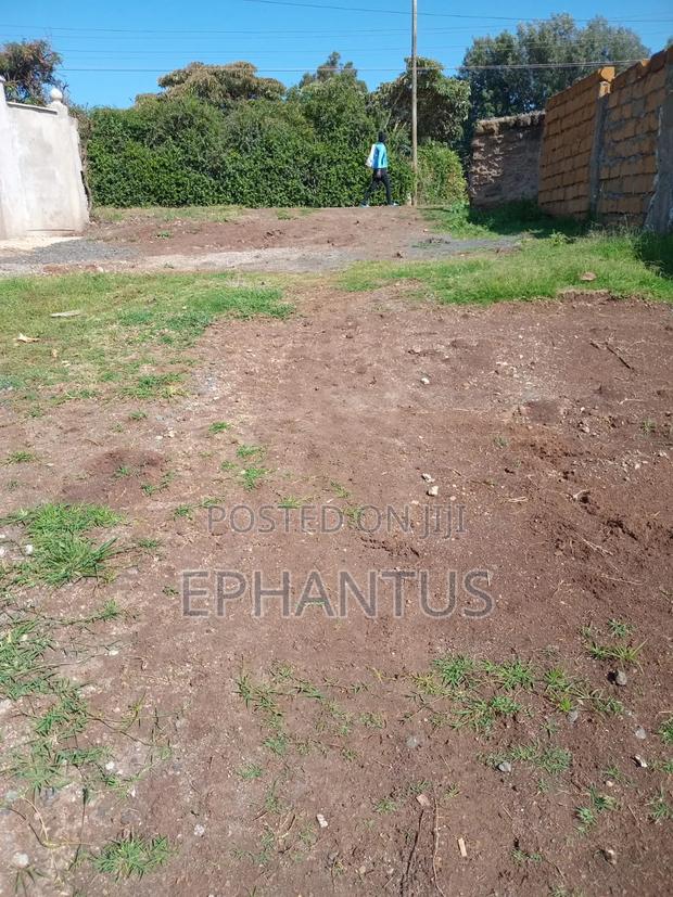 1/2 Acre Rongai at 14m - thumbnail 2