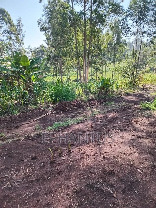 1/2 Acre Rongai at 14m - thumbnail 3