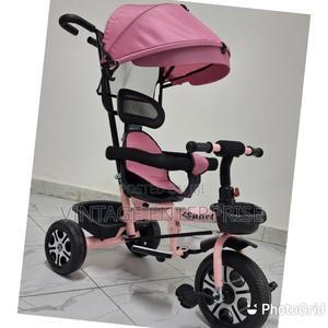 Push Handle With Canopy Tricycle - thumbnail 2