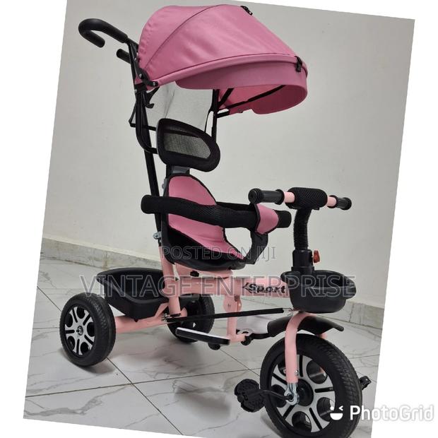 Push Handle With Canopy Tricycle - main view