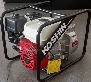 Gx 120 Koshin Petrol Water Pump 2inches