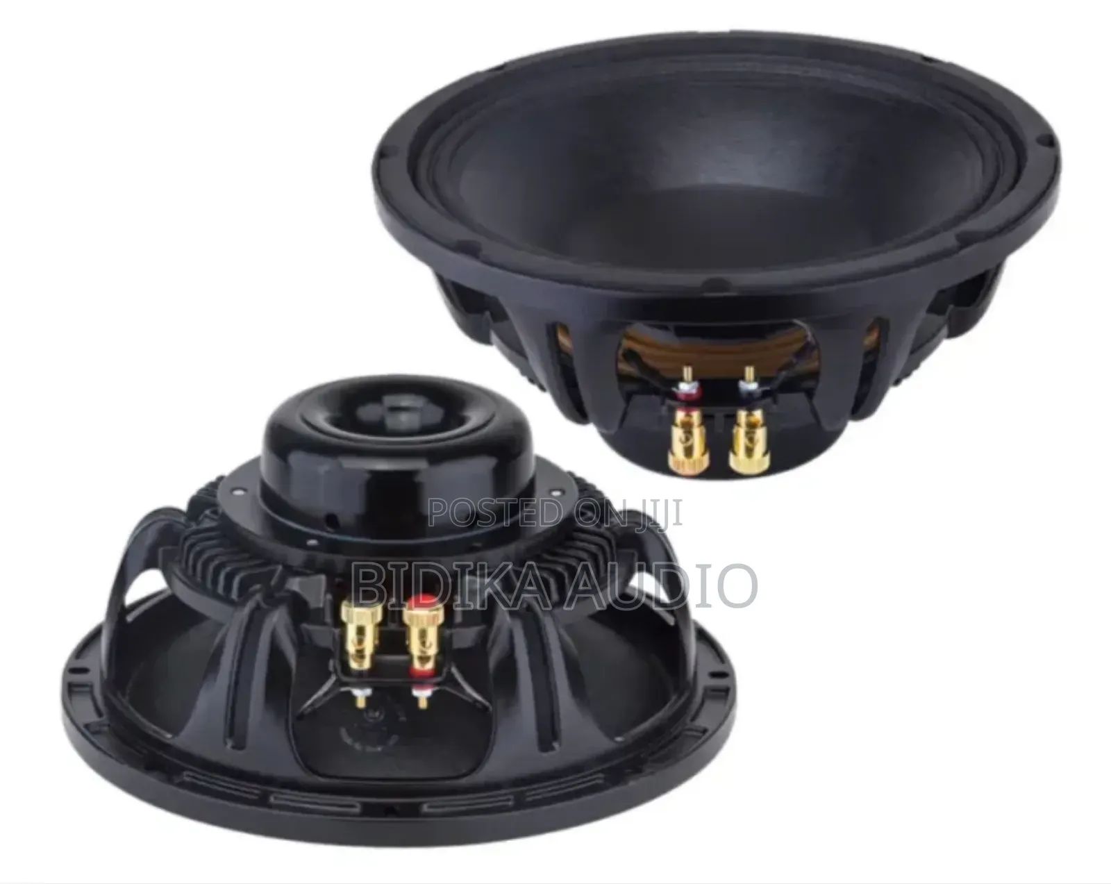 Nr 10nd880 10 Inch Neodymium Naked Speaker