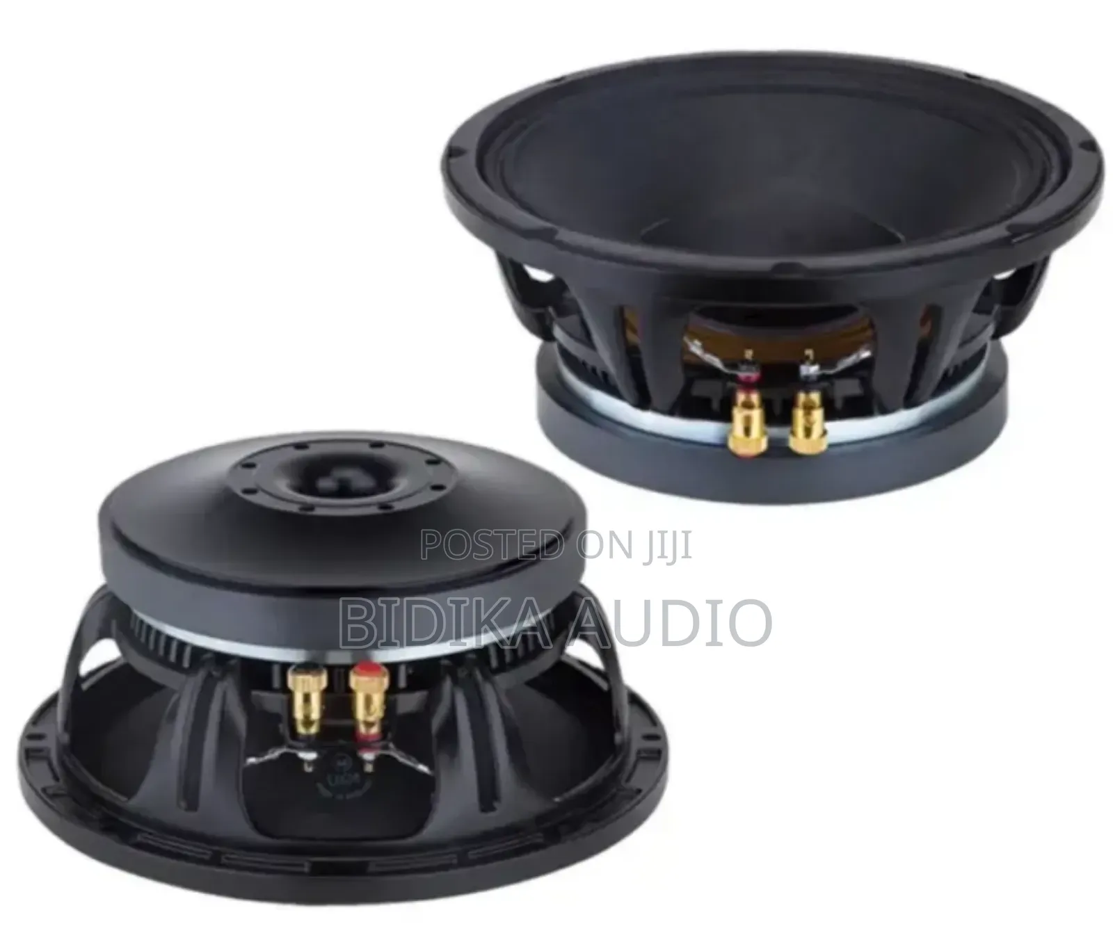 Nr 10wf335 10 Inch Naked Speaker