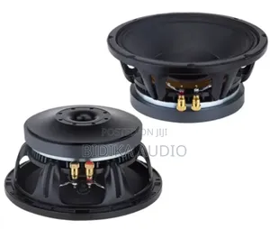Nr 10wf335 10 Inch Naked Speaker