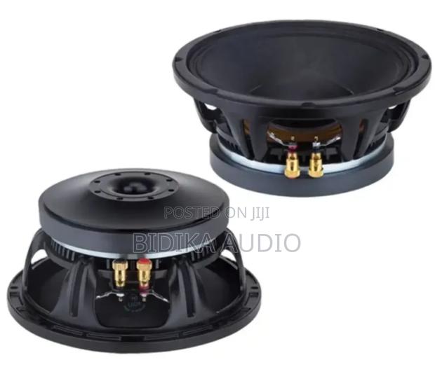 Nr 10wf335 10 Inch Naked Speaker