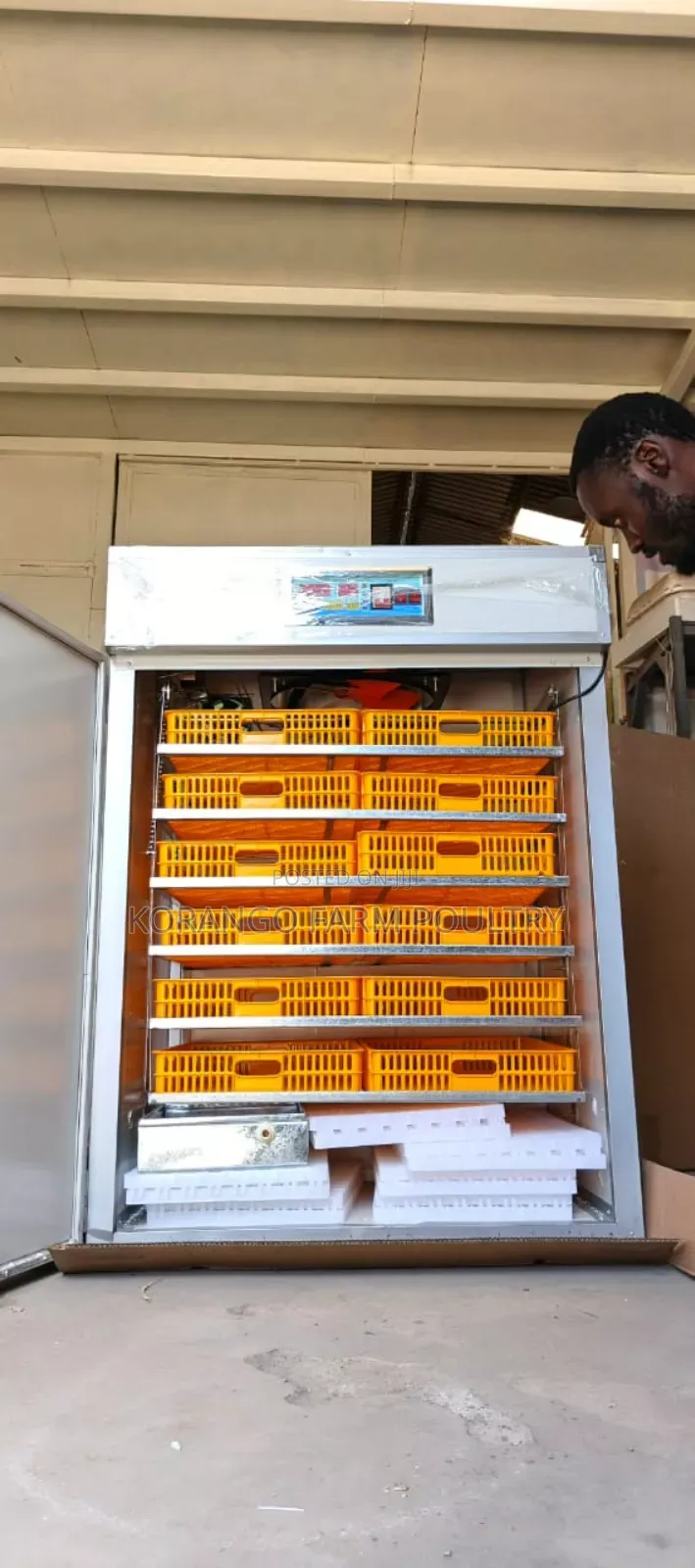 Eggs Incubator