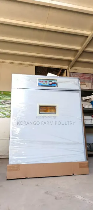 Eggs Incubator
