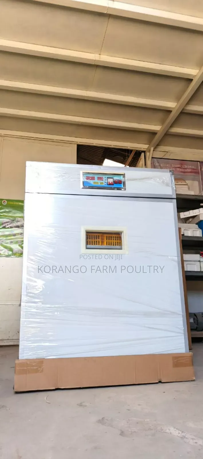 Eggs Incubator
