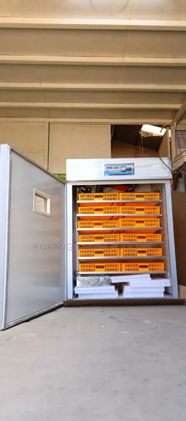 Eggs Incubator