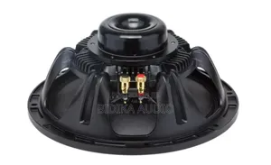 Nr 12nd680 12 Inch Neodymium Naked Speaker