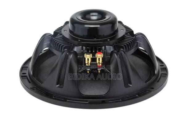 Nr 12nd680 12 Inch Neodymium Naked Speaker