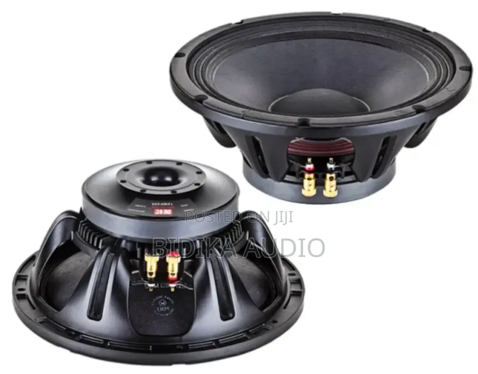 Nr 12wf335 12 Inch Naked Speaker