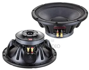 Nr 12wf335 12 Inch Naked Speaker