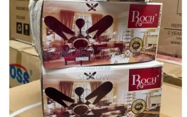 Roch Ceiling Fan 24 Inches - main view