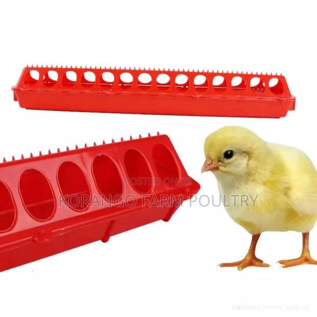 Automatic Chicks Feeders