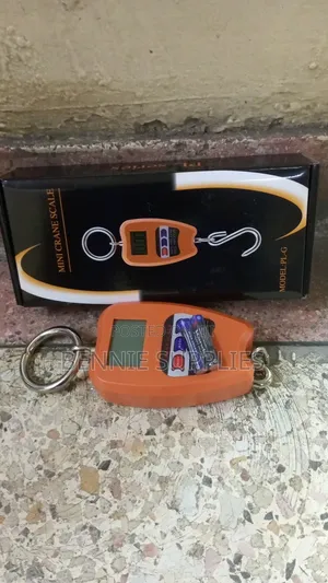 200kg Mini Crane Scale/ Digital Hanging Scale 200kg