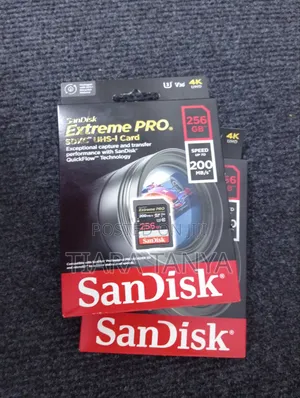 Sandisk 256 Gb Extreme Pro