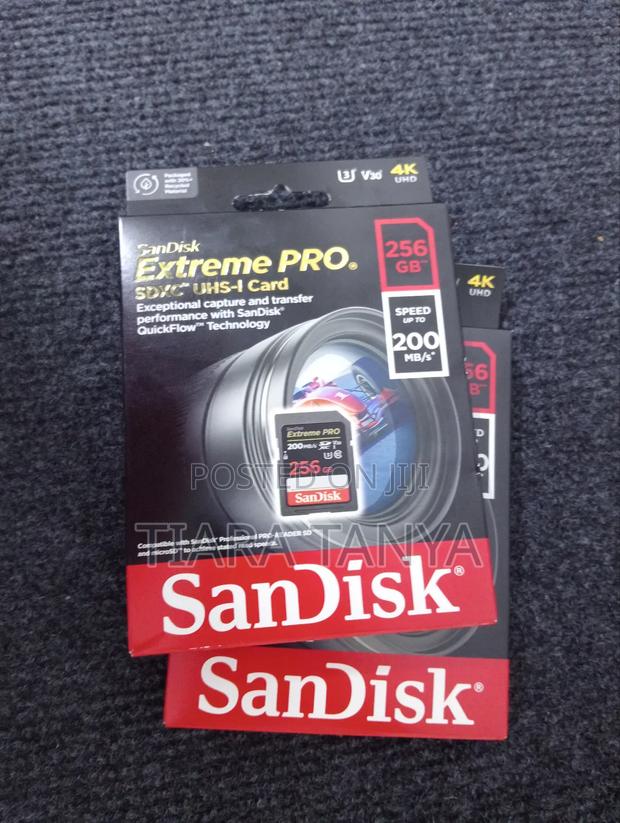 Sandisk 256 Gb Extreme Pro - main view