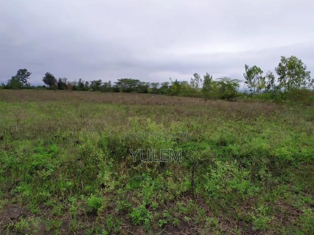 5 Acre Land for Sale in Kinanie, Athi River - thumbnail 3