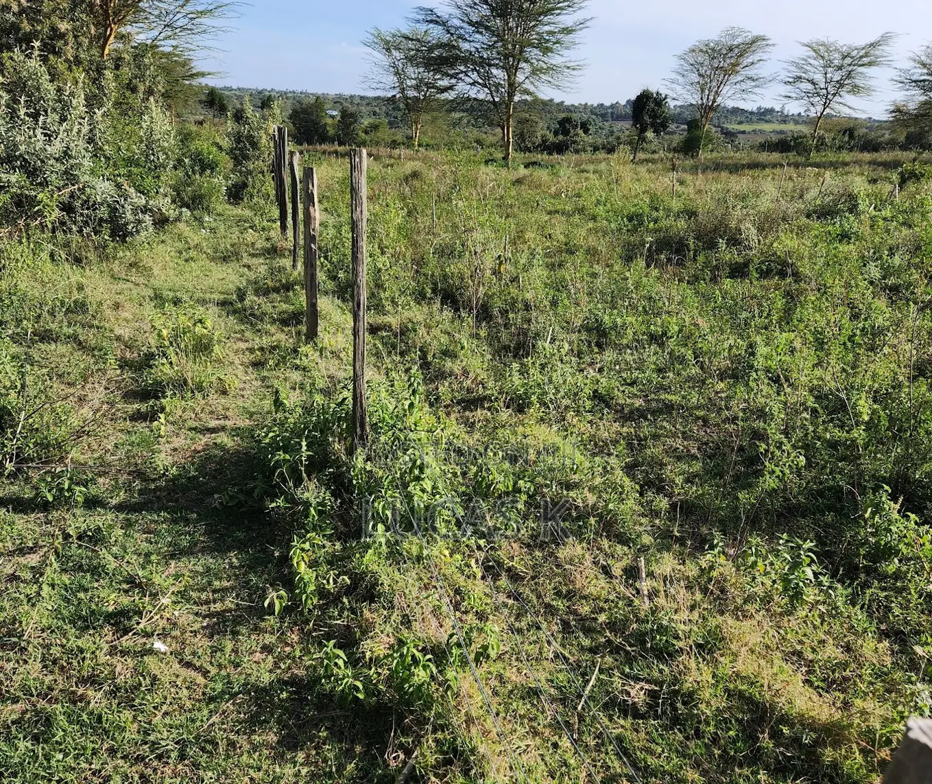 Narok Kipangas Plots