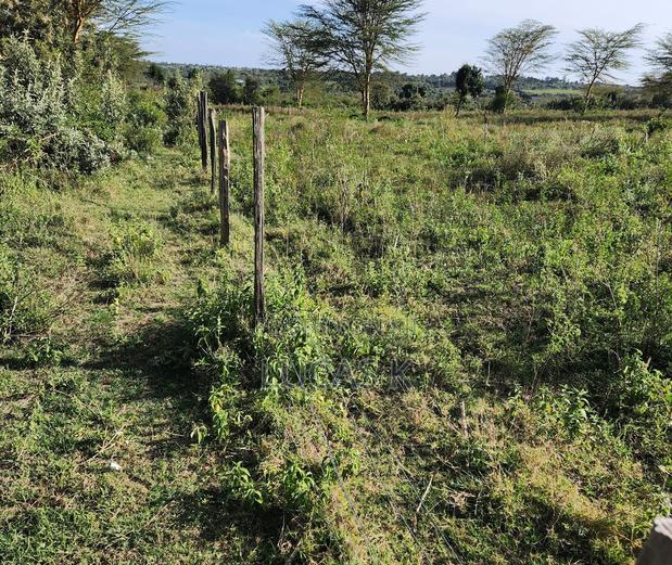 Narok Kipangas Plots - thumbnail 3