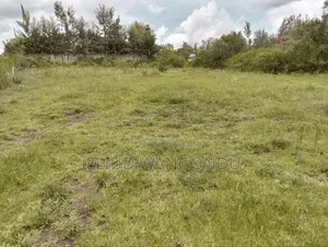 Prime 0.5 Acres for Sale