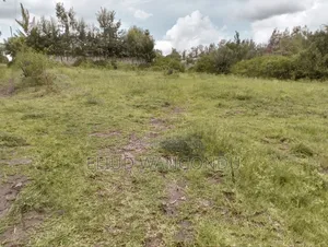 Prime 0.5 Acres for Sale