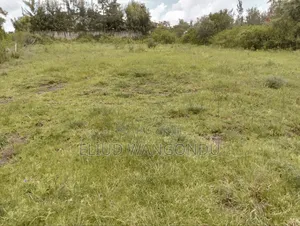Prime 0.5 Acres for Sale
