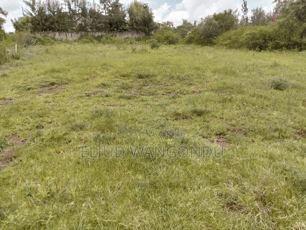 Prime 0.5 Acres for Sale - thumbnail 4