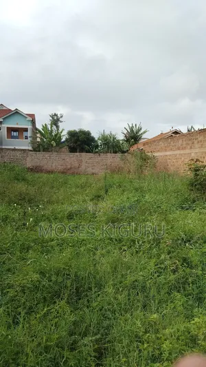 Thika Nanasi Estate 40x80 Plots.