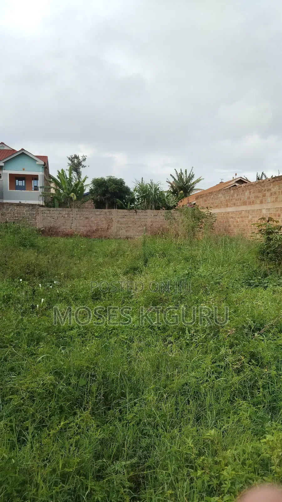 Thika Nanasi Estate 40x80 Plots.