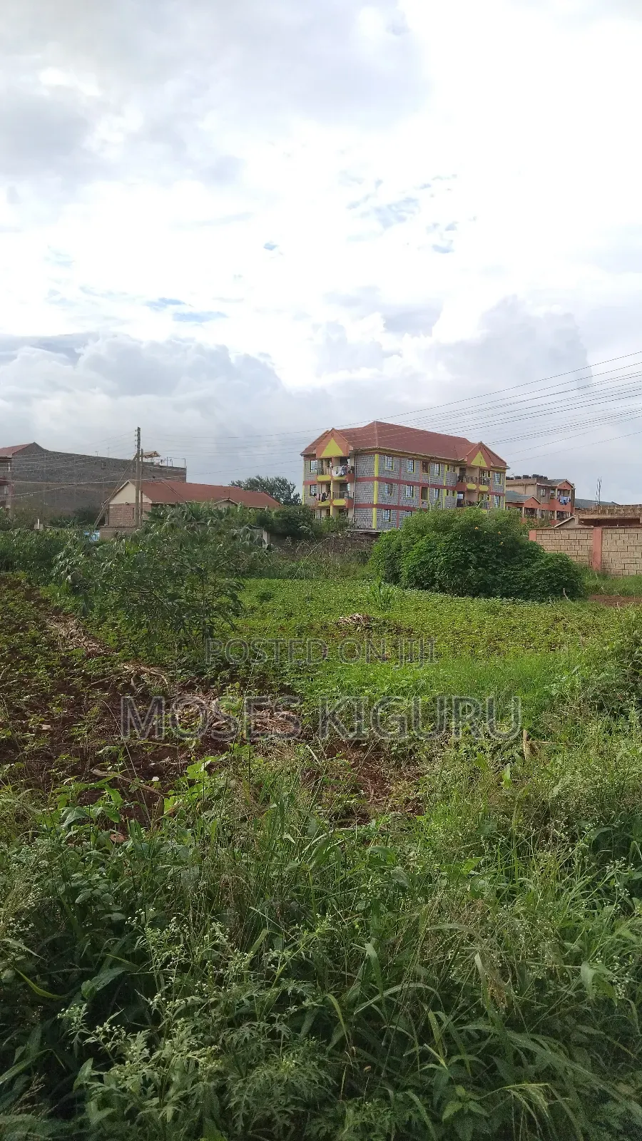 Thika Nanasi Estate 40x80 Plots.