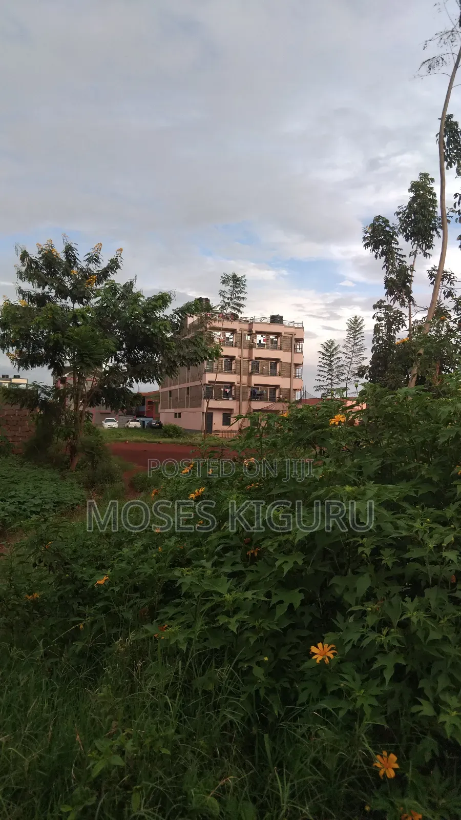 Thika Nanasi Estate 40x80 Plots.