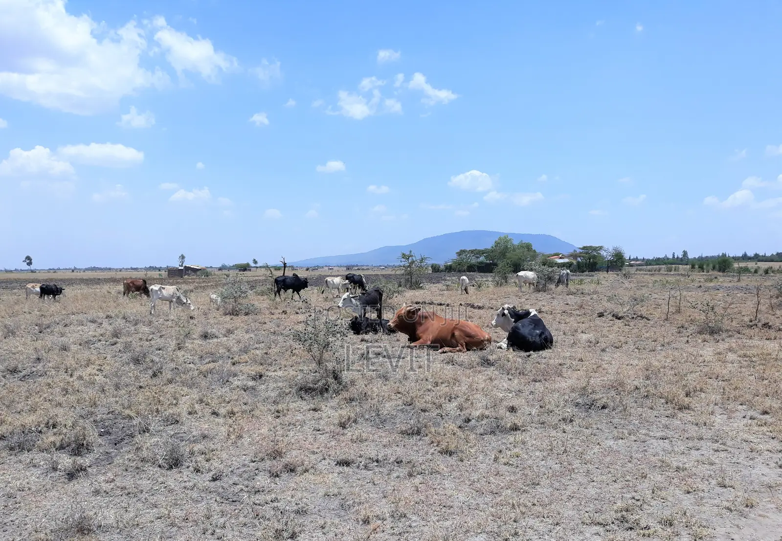 Malaa Plot on Offer