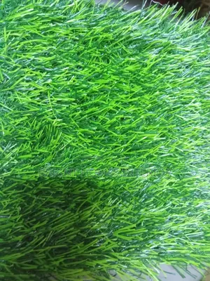 25mm Thickness Grass Carpet for Natural Outlook