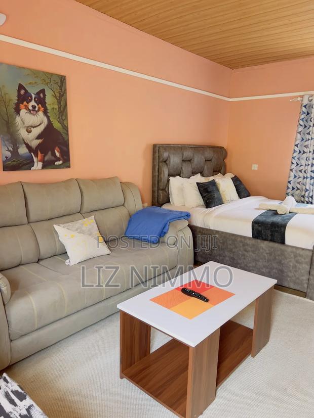 Fully Furnished Studios - thumbnail 2