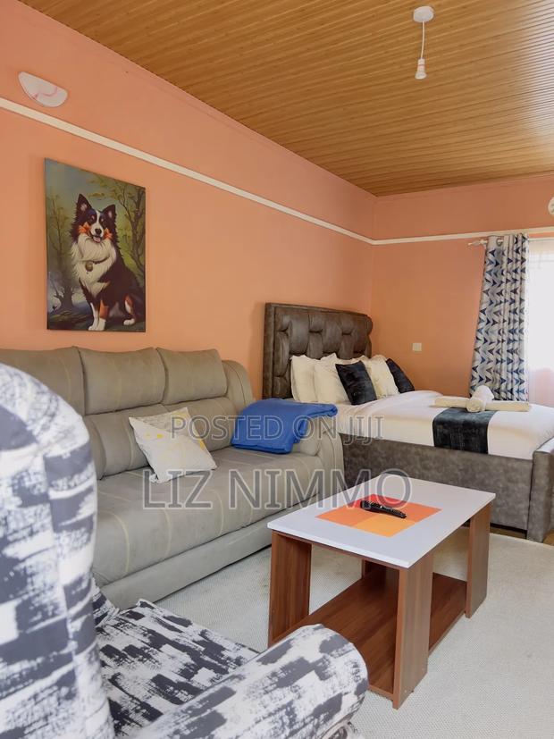 Fully Furnished Studios - thumbnail 3